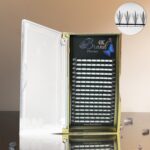 Evantaie Fluture Brand4K | 144 EVANTAIE | Curbura C